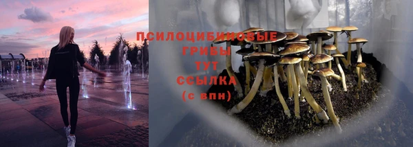 хмурый Тихорецк