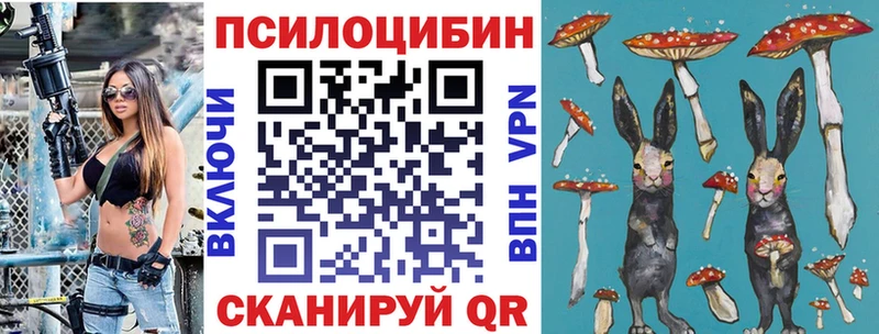 Псилоцибиновые грибы Magic Shrooms  blacksprut сайт  Каспийск 